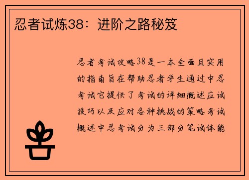 忍者试炼38：进阶之路秘笈